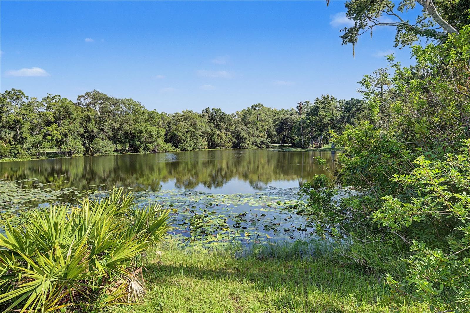 Single Family Residence at 35 GREENHAVEN TRL, OLDSMAR, photo 61 of 74