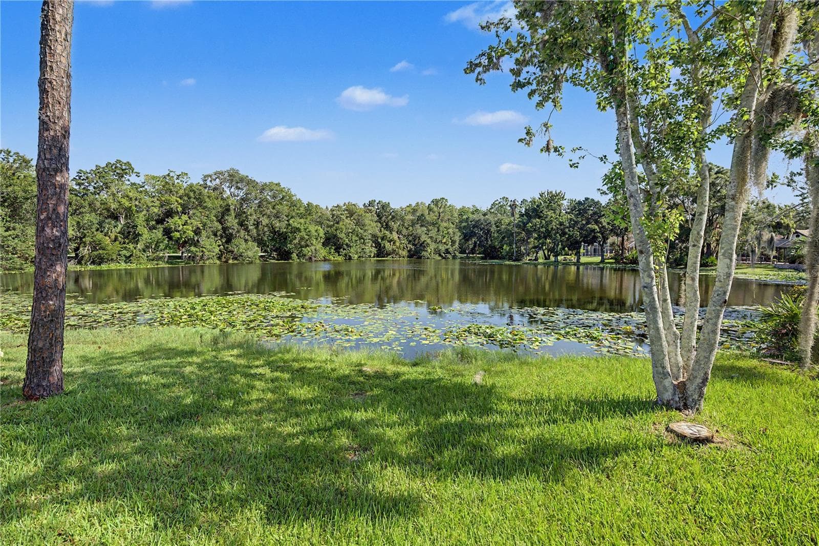 Single Family Residence at 35 GREENHAVEN TRL, OLDSMAR, photo 63 of 74