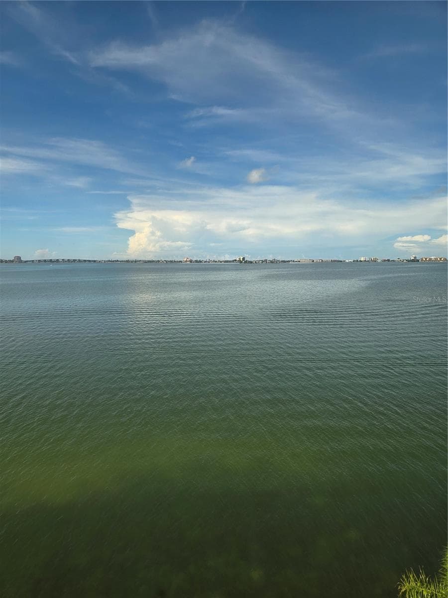 Condominium at 5980 SHORE BLVD S #501, GULFPORT, photo 7 of 32