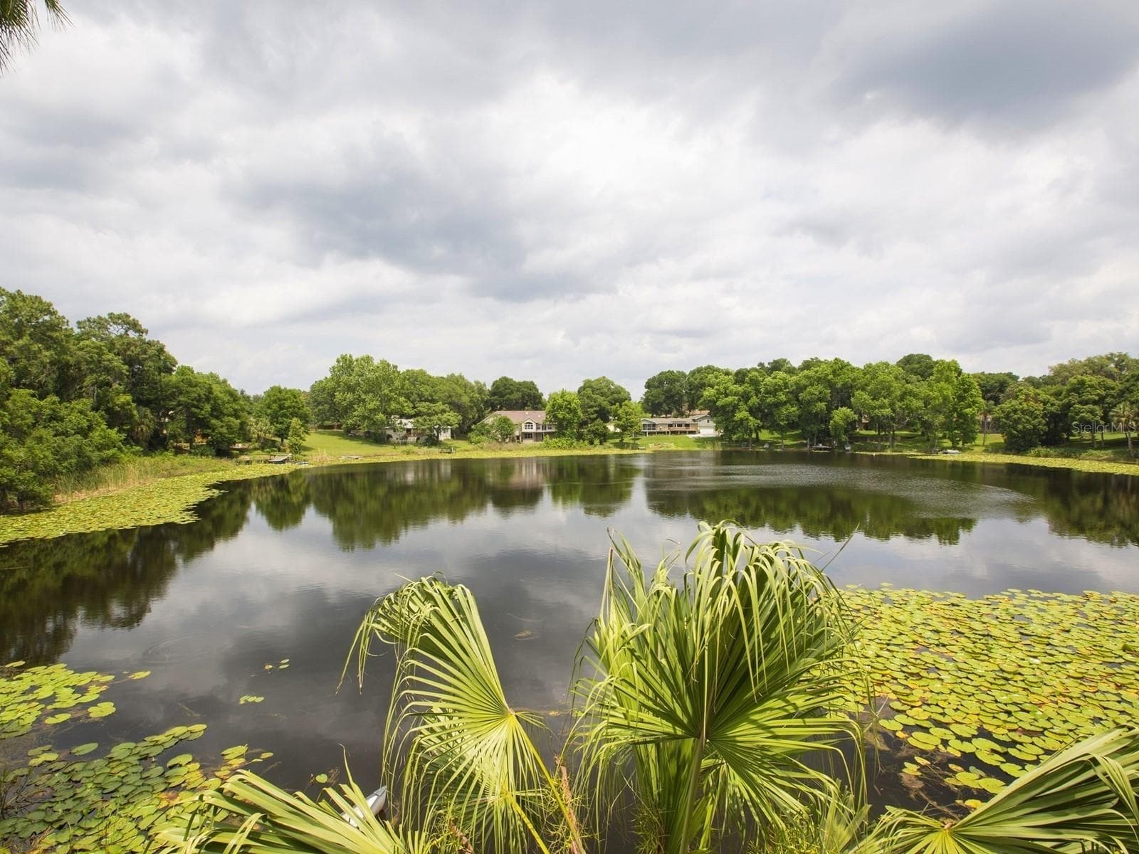 Lake Irma - 1625 ABRAMS RD, EUSTIS