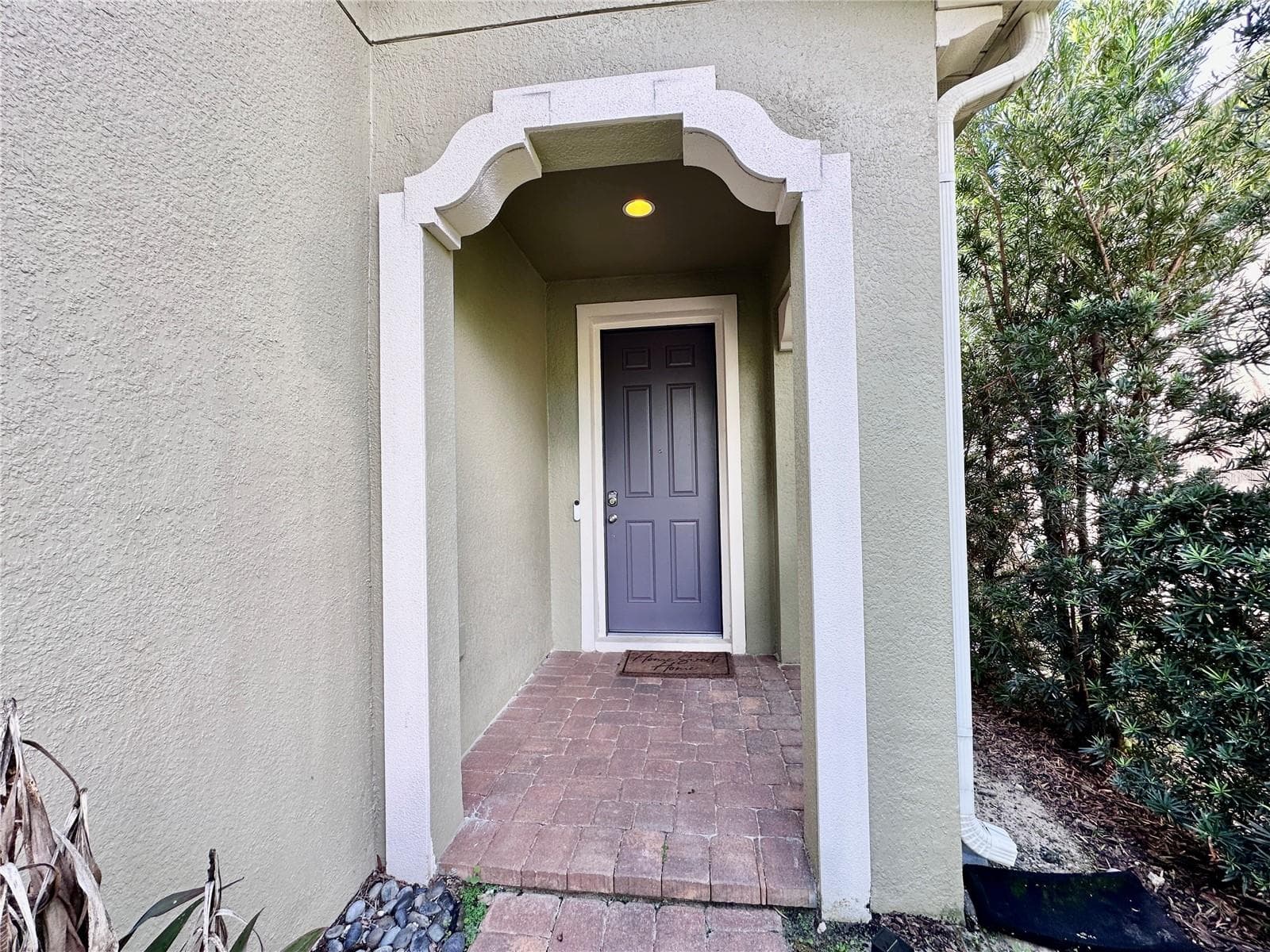 Front door - 1557 AMBER LEAF CIR, OCOEE