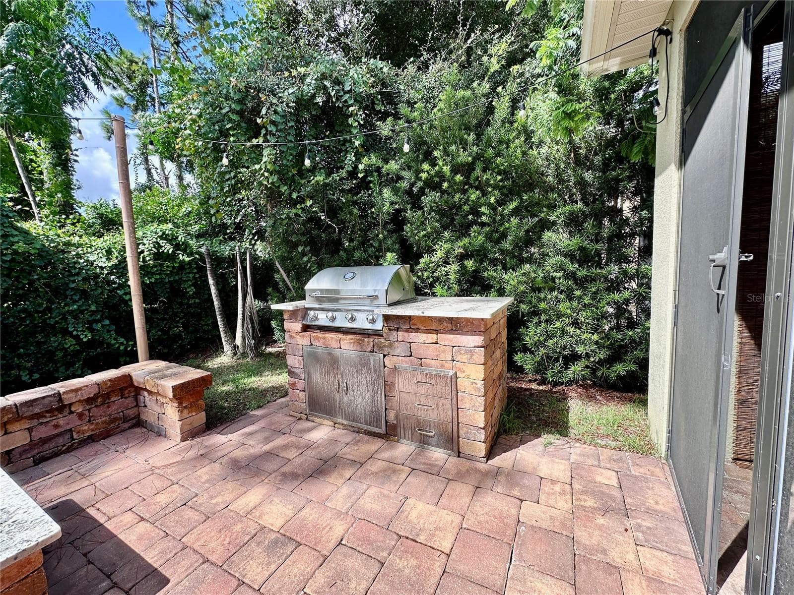 BBQ in the backyard - 1557 AMBER LEAF CIR, OCOEE