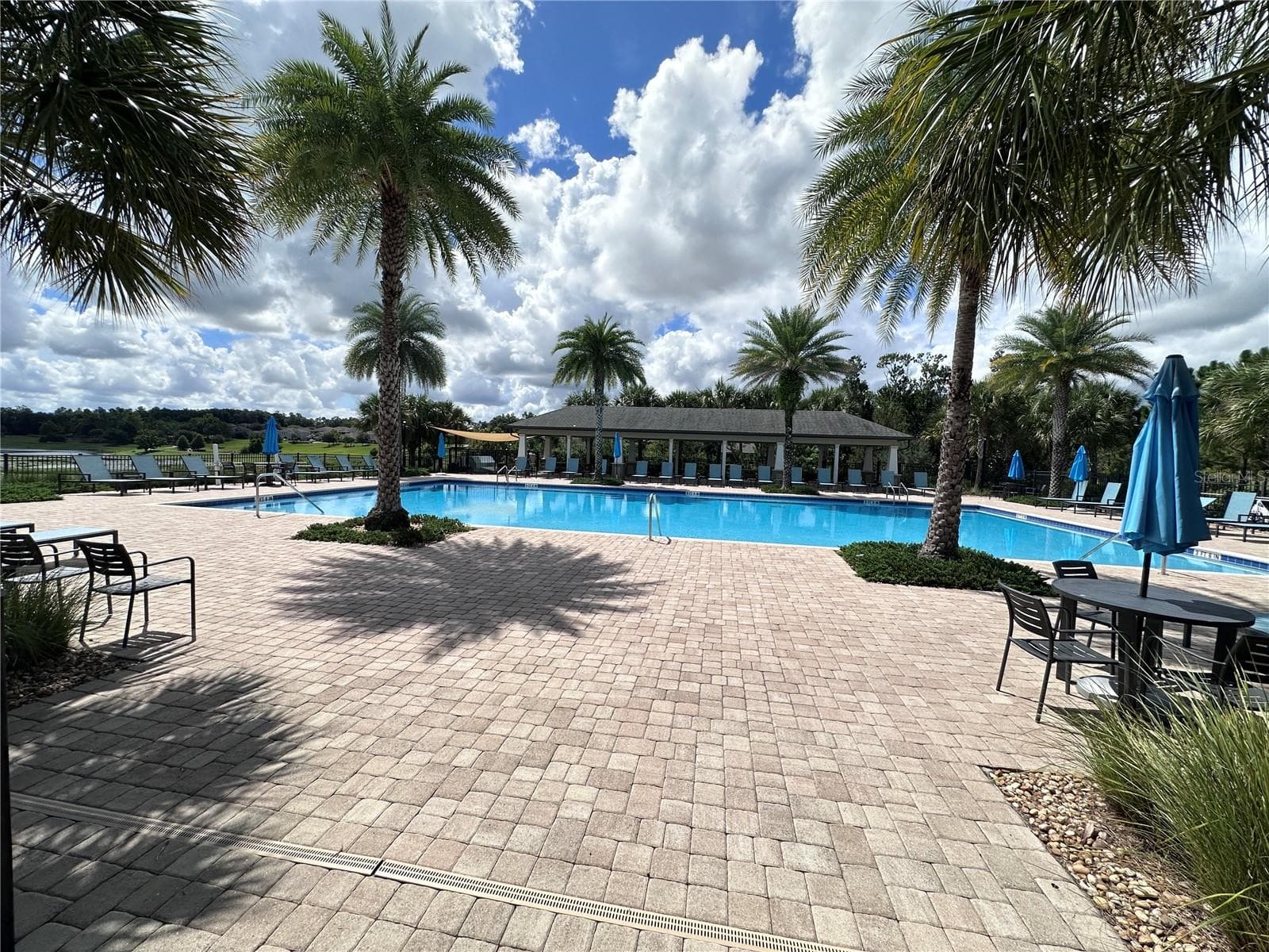 Pool - 1557 AMBER LEAF CIR, OCOEE