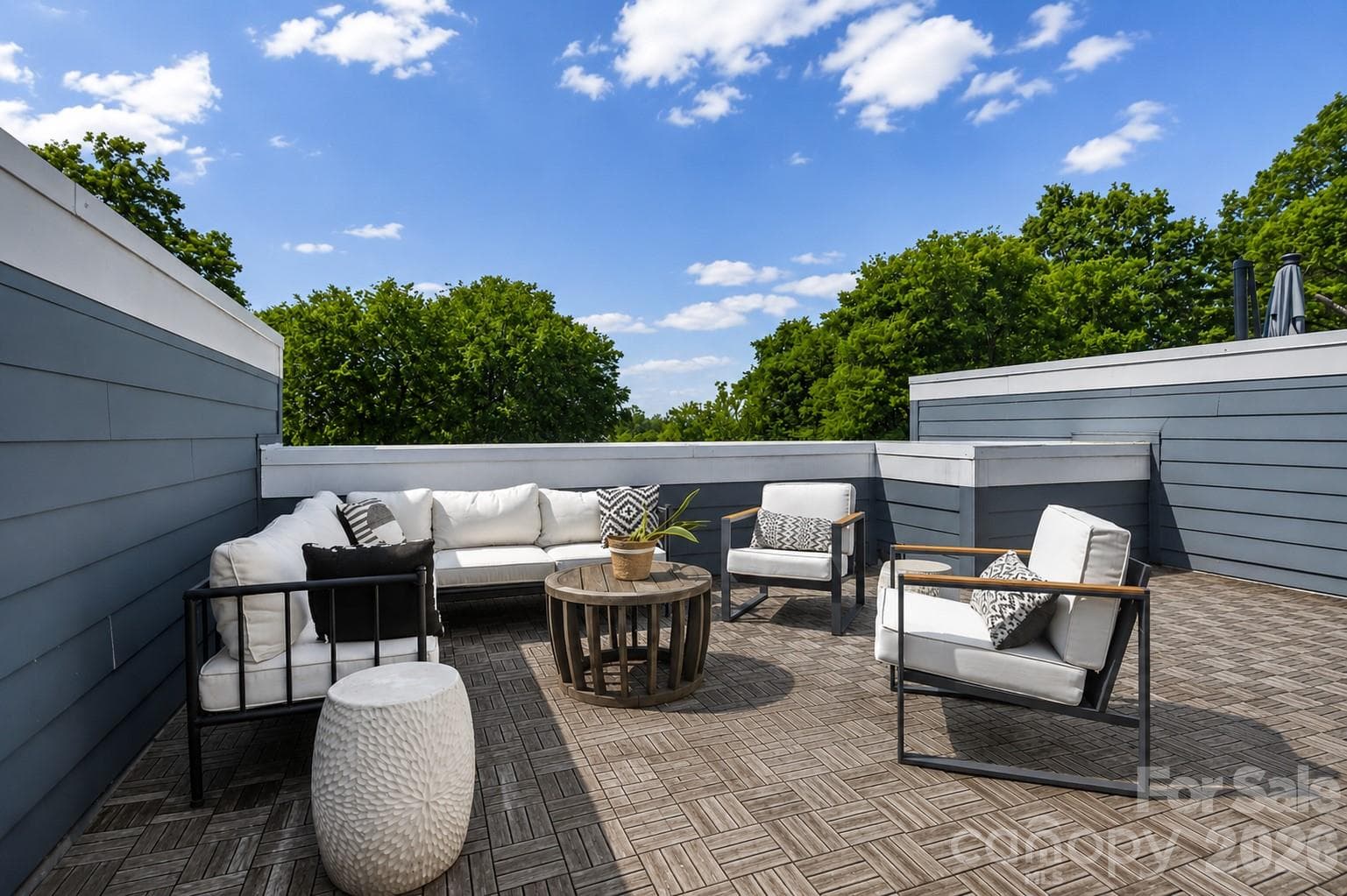 Expansive rooftop lounge surrounded by treetops - 1633 Duckworth Avenue, Charlotte