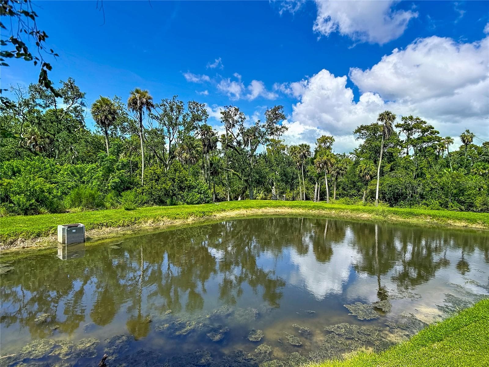 Townhouse at 5364 RIVERWALK PRESERVE DR, NEW PORT RICHEY, photo 69 of 84