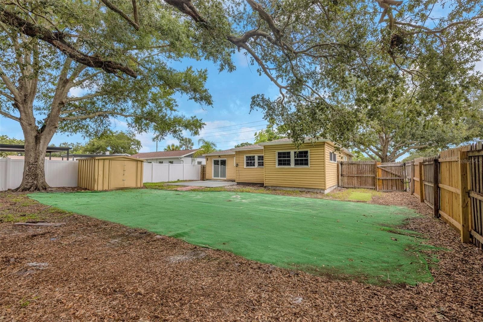 Rear Yard - Reverse View - 282 NE 40TH AVE NE, ST PETERSBURG
