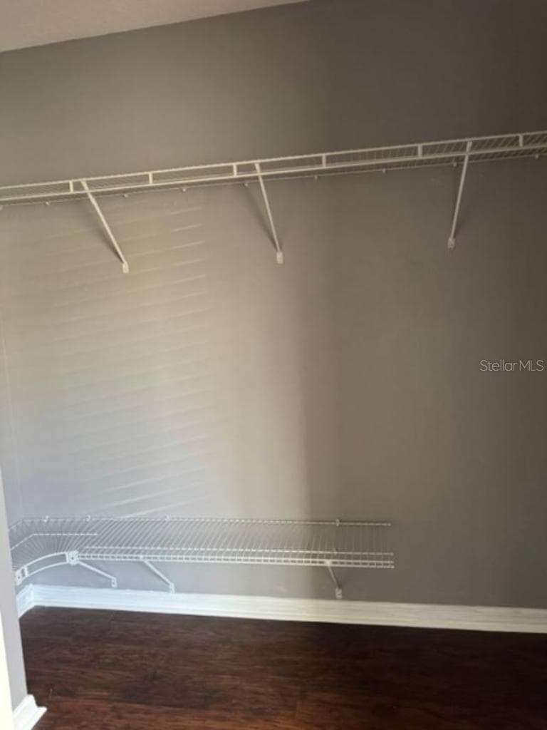 Master closet - 8542 BRUSHLEAF WAY, TAMPA