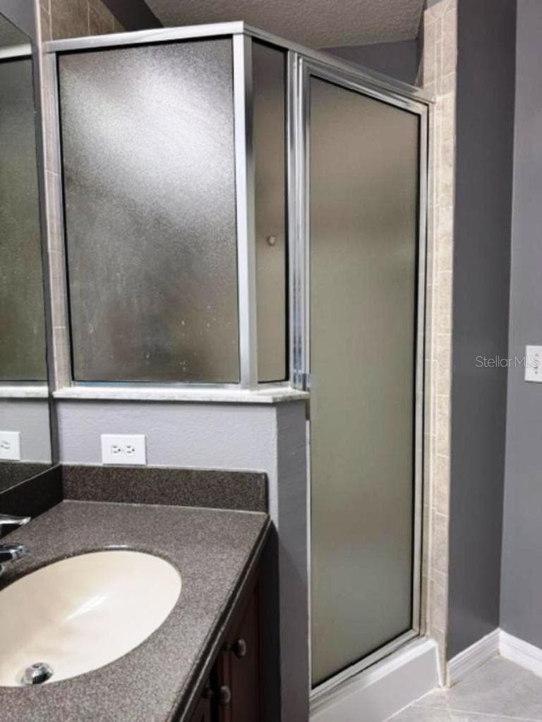 Master shower - 8542 BRUSHLEAF WAY, TAMPA
