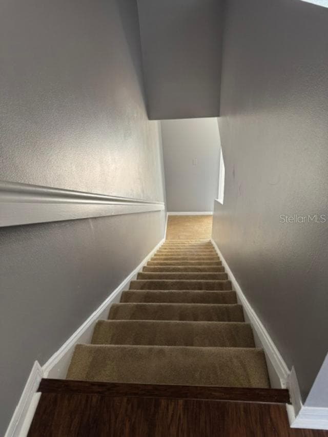 Looking down stairs - 8542 BRUSHLEAF WAY, TAMPA