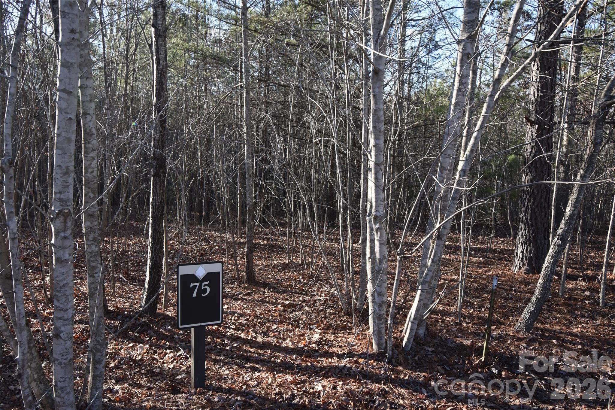 Lot 75 Tayberry Drive