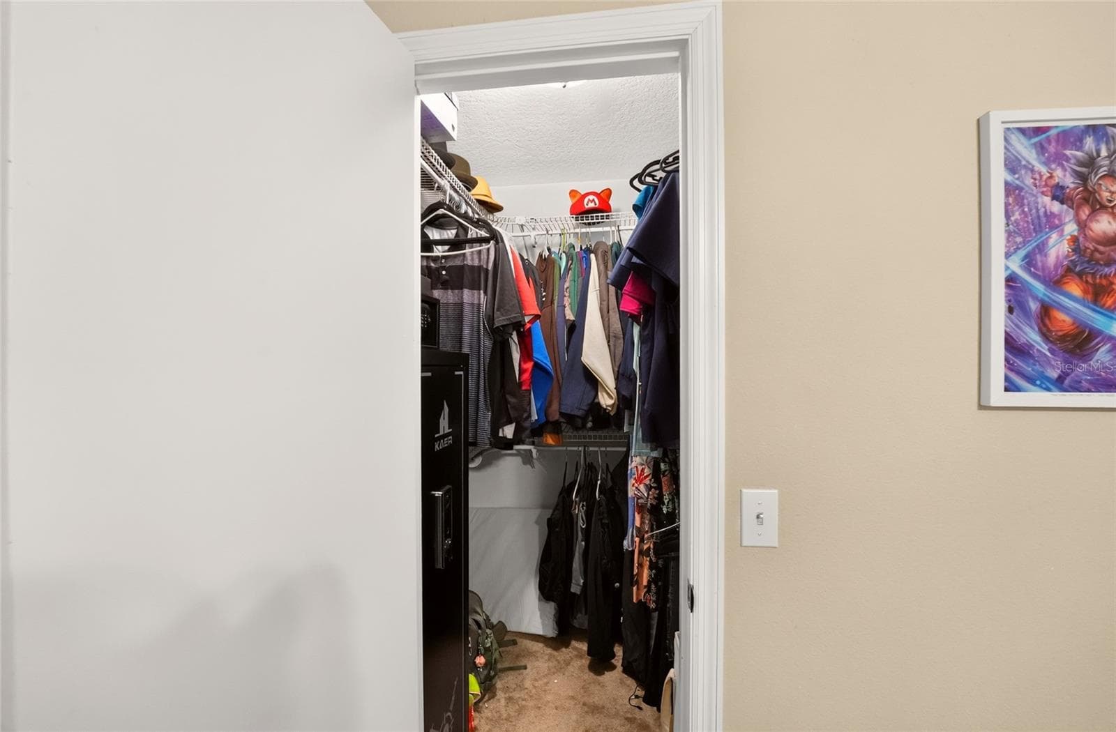 Walk in Closet - 5721 NW 62ND AVE NW, OCALA