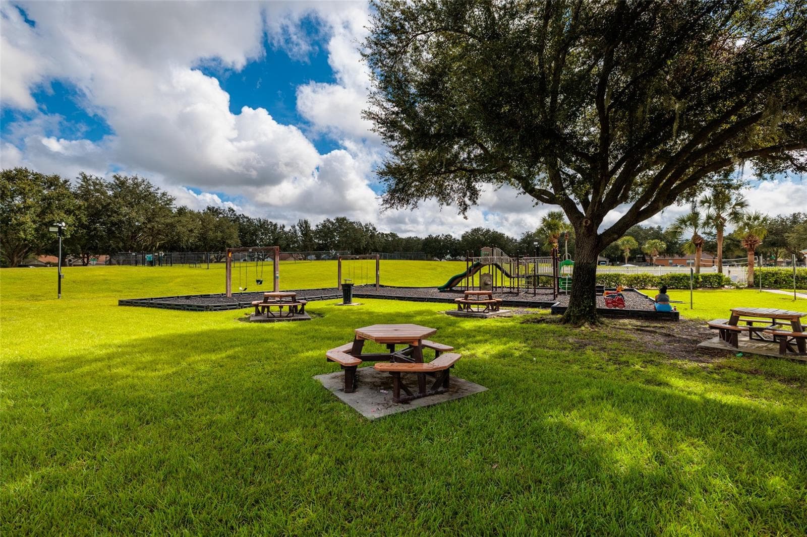 Single Family Residence at 3513 PINE TOP DR, VALRICO, photo 48 of 48