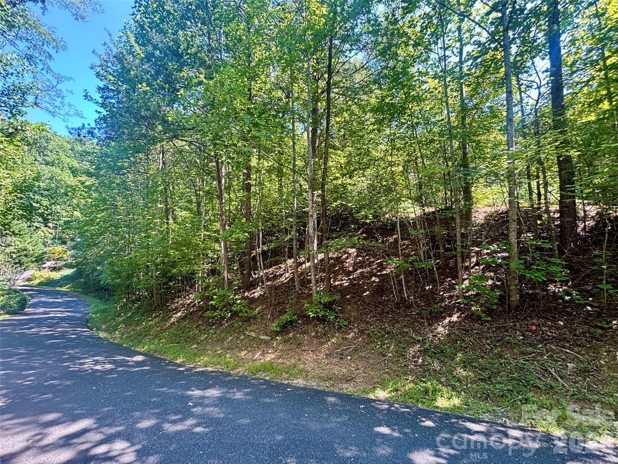 Lot 77 Winesap Boulevard