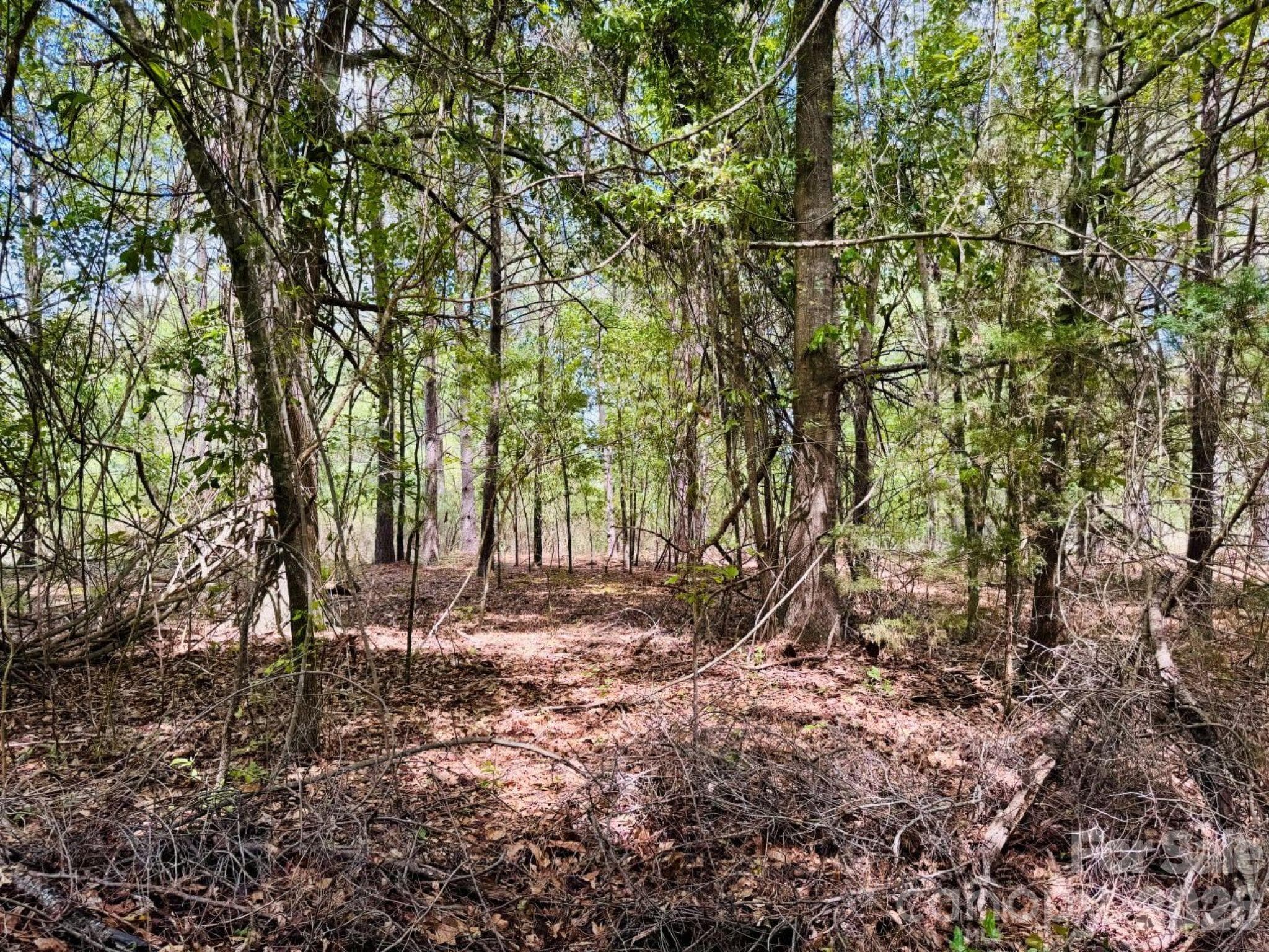 Lot at 385 Elbert Baskins Road, Cheraw, photo 7 of 11