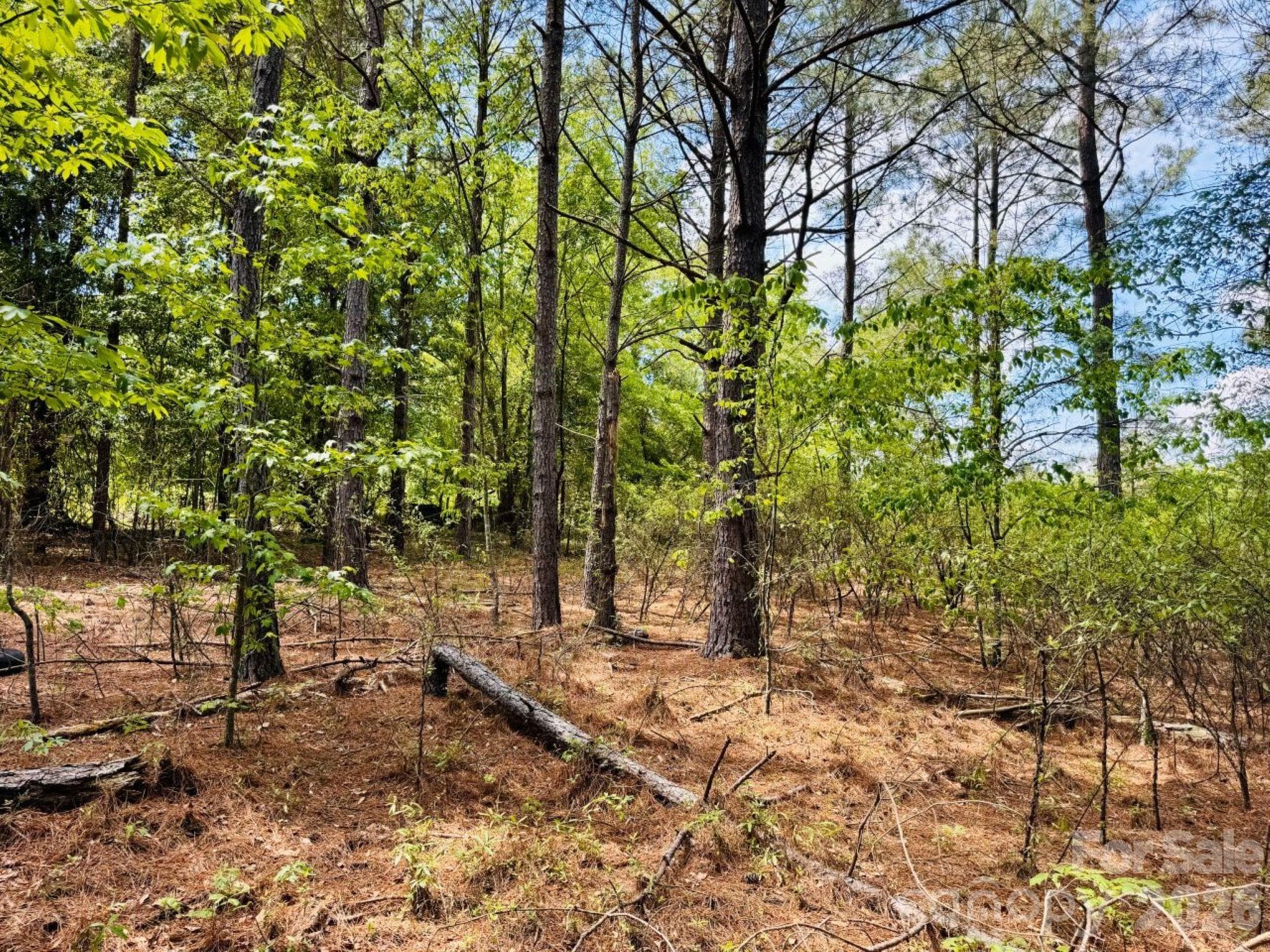 Lot at 385 Elbert Baskins Road, Cheraw, photo 10 of 11