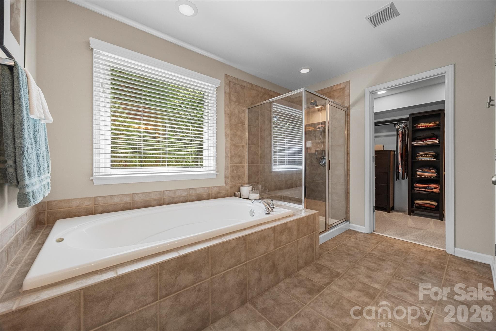 Soaking Tub - 9004 Creekstone Road, Waxhaw