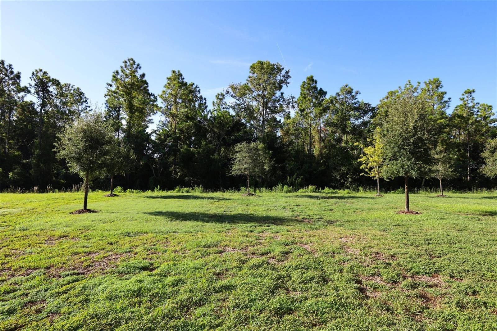 Single Family Residence at 5288 OBSIDIAN GATE DR, MOUNT DORA, photo 66 of 69