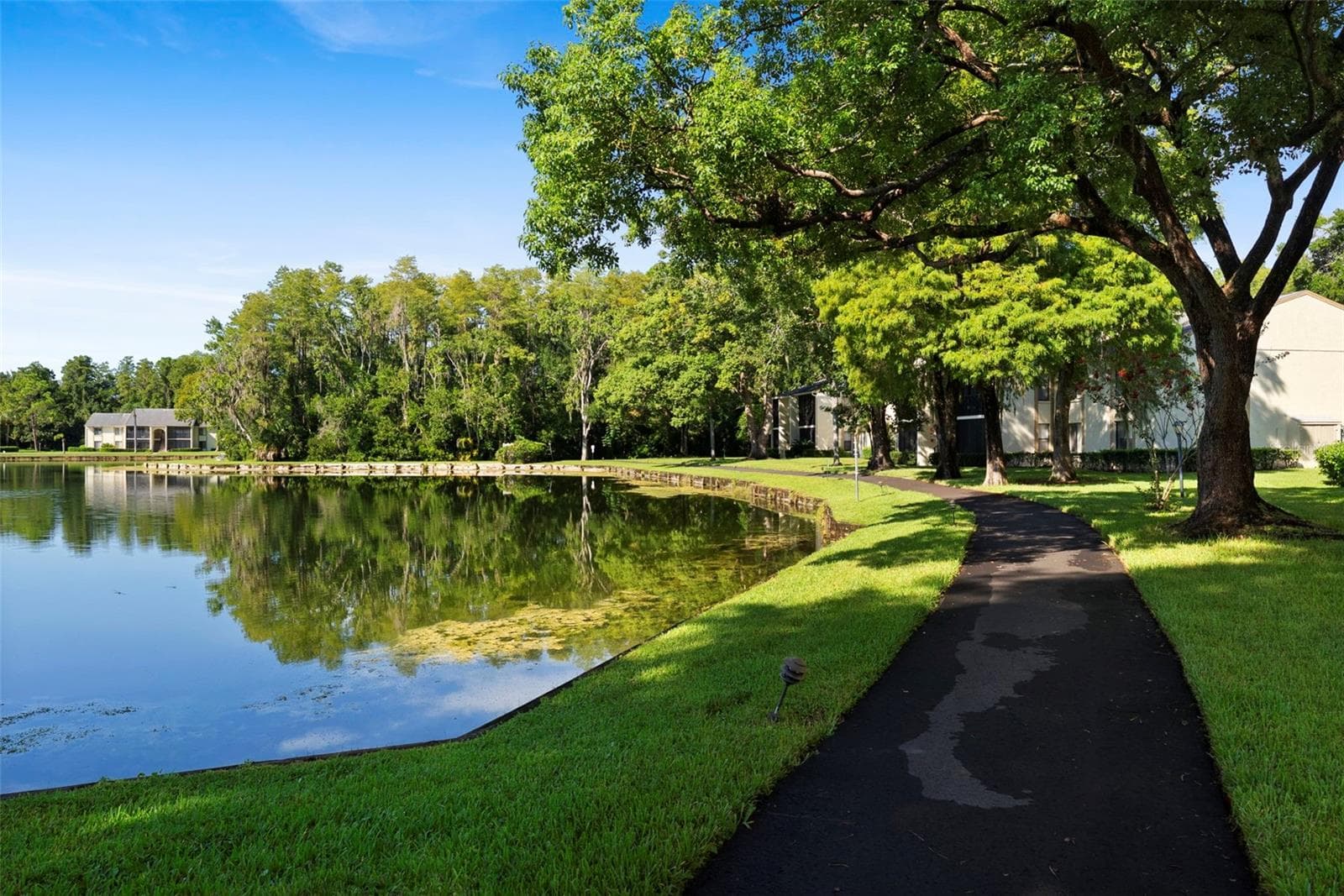 Condominium at 1423 PINE GLEN LN #C1, TARPON SPRINGS, photo 25 of 47