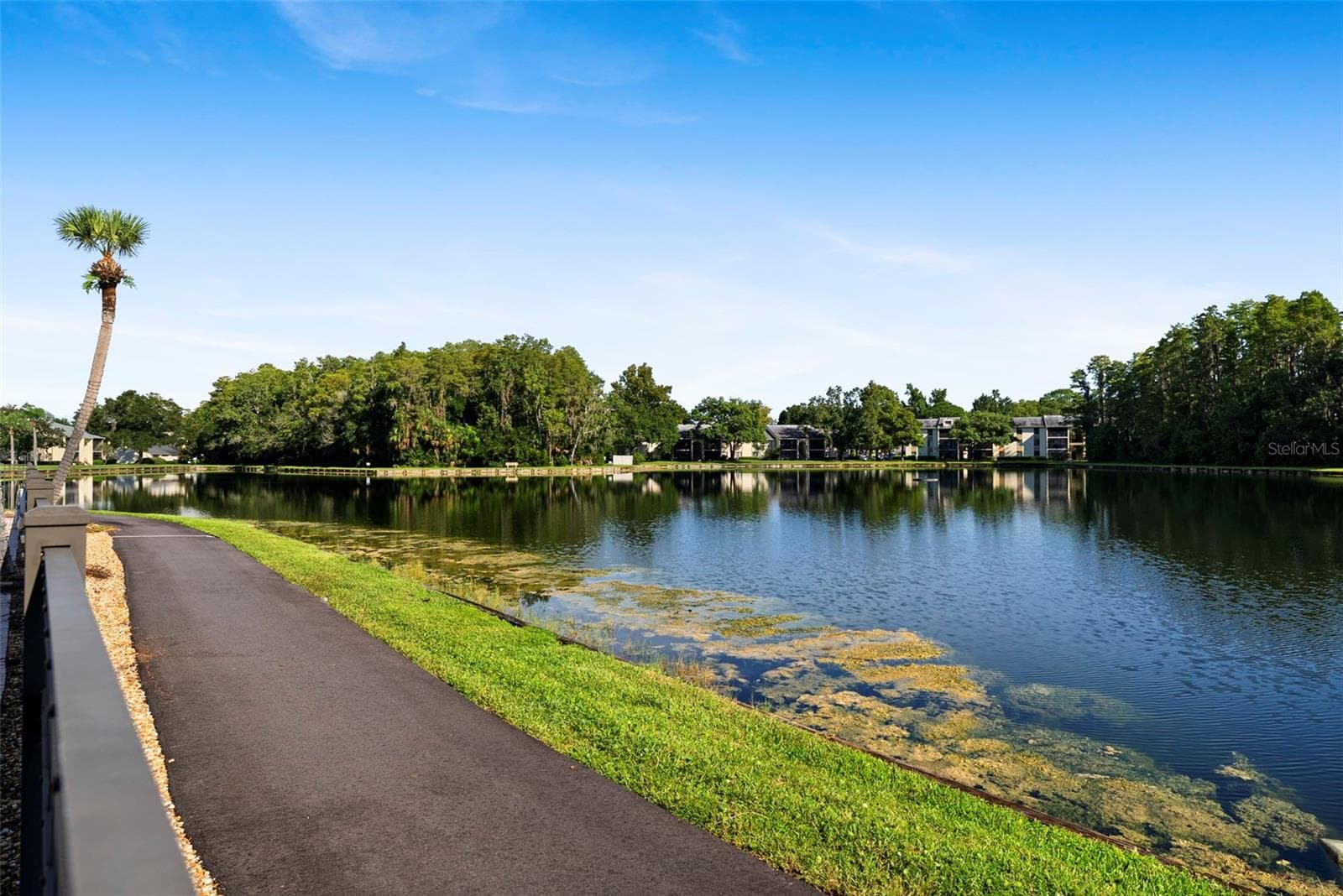Condominium at 1423 PINE GLEN LN #C1, TARPON SPRINGS, photo 35 of 47