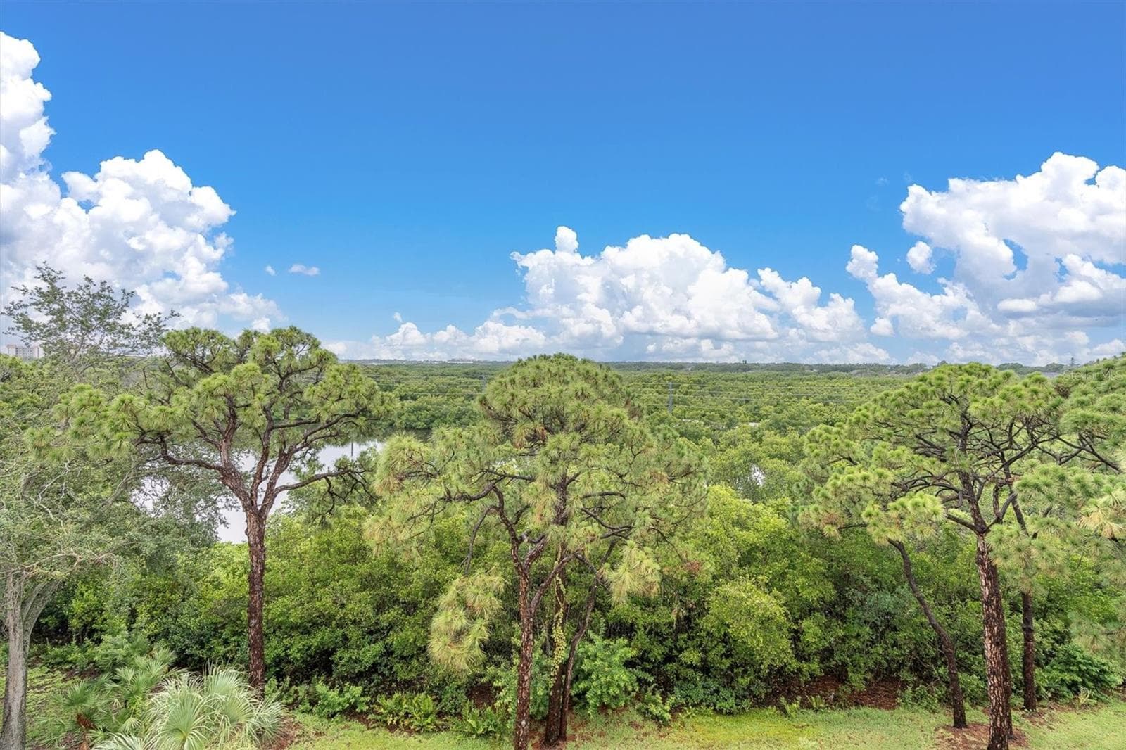 View from the fifth floor resident sun deck - 8198 TERRACE GARDEN DR #511, ST PETERSBURG