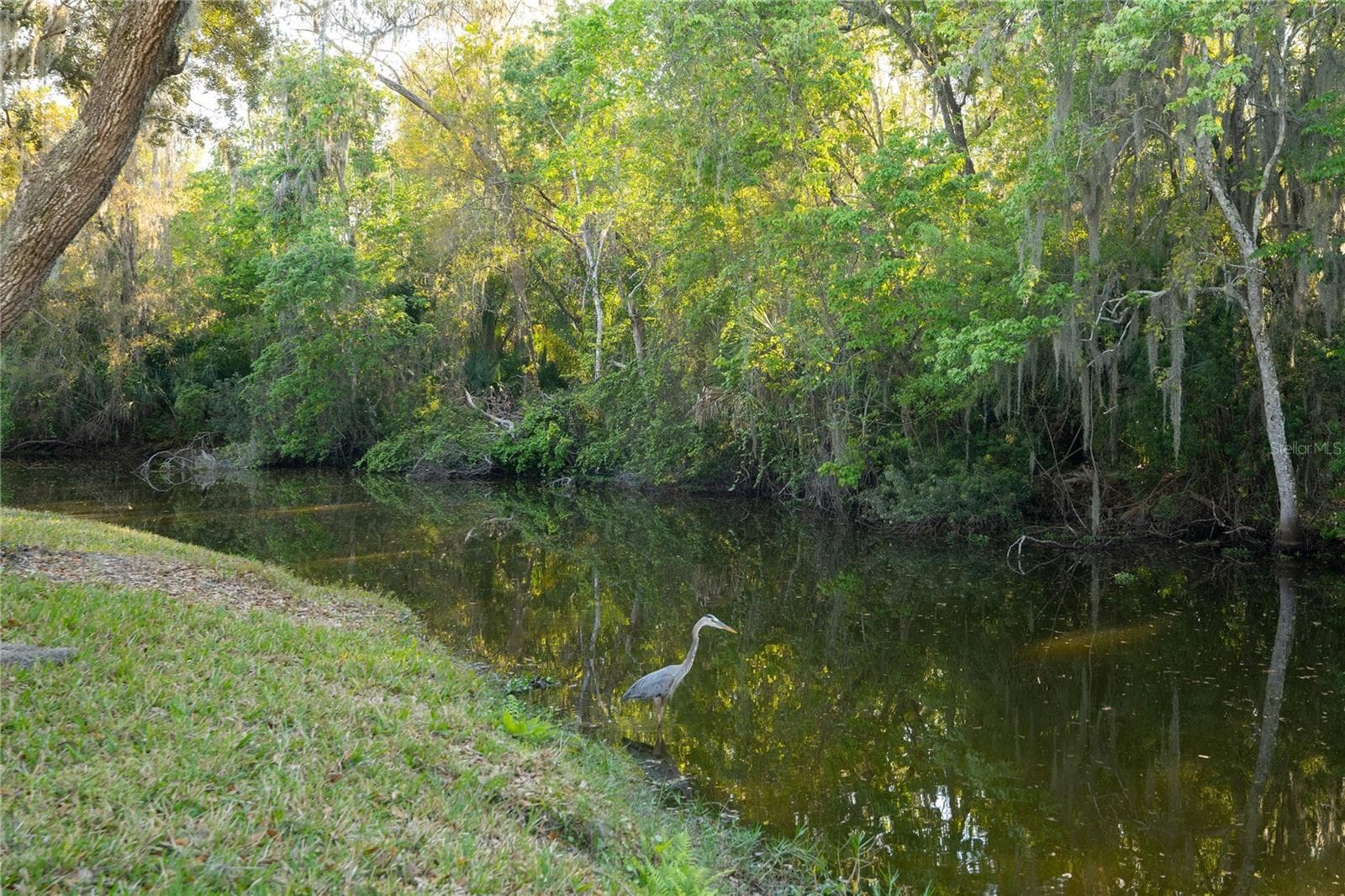 Single Family Residence at 1330 PRESERVATION WAY, OLDSMAR, photo 41 of 41