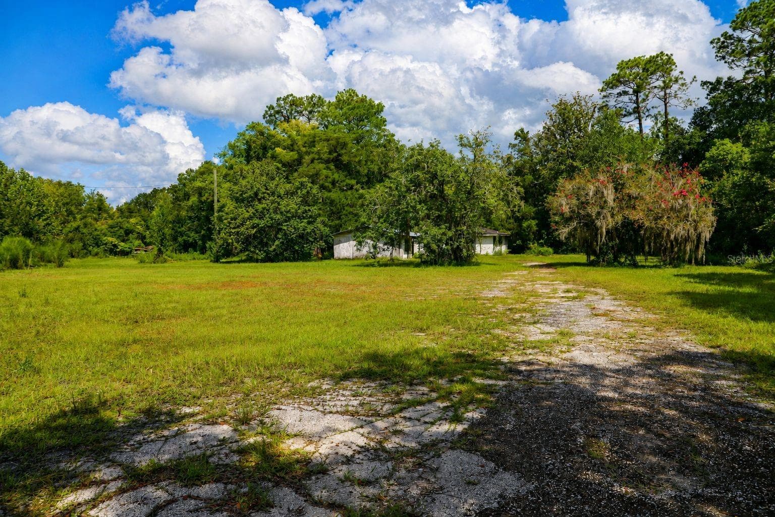Mixed Use at 103 CONTAINER RD, STARKE, photo 5 of 17
