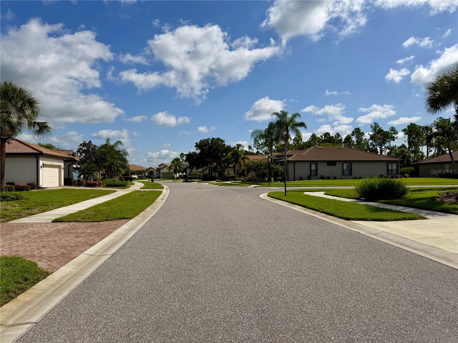 Looking north up Arugula Dr. - 2436 ARUGULA DR, NORTH PORT