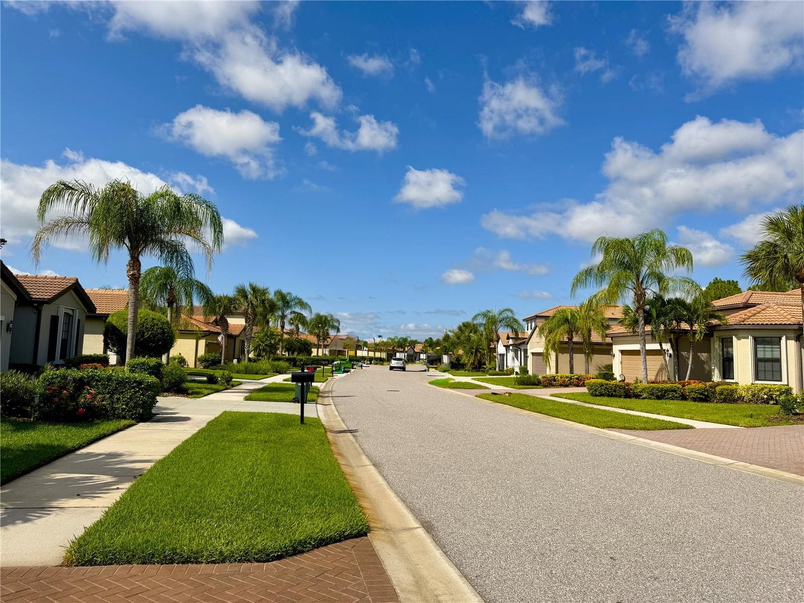 Looking south down Arugula Dr. - 2436 ARUGULA DR, NORTH PORT