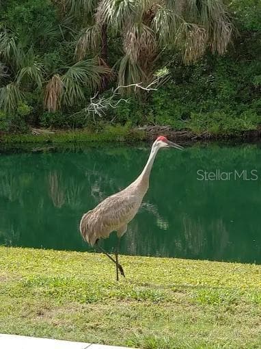 Nature in the community - 2436 ARUGULA DR, NORTH PORT