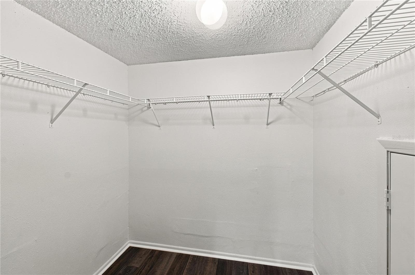 Walk-in Closet - 13417 BEECHBERRY DR, RIVERVIEW