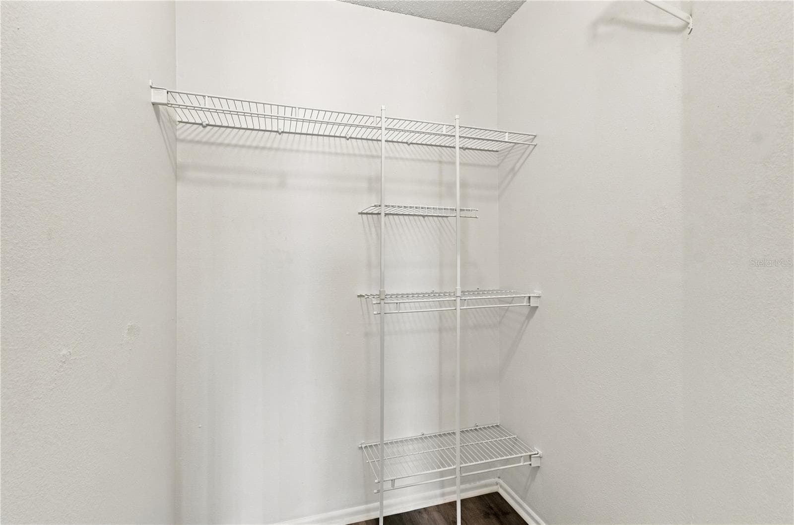 Bedroom 2 Walk in Closet - 13417 BEECHBERRY DR, RIVERVIEW