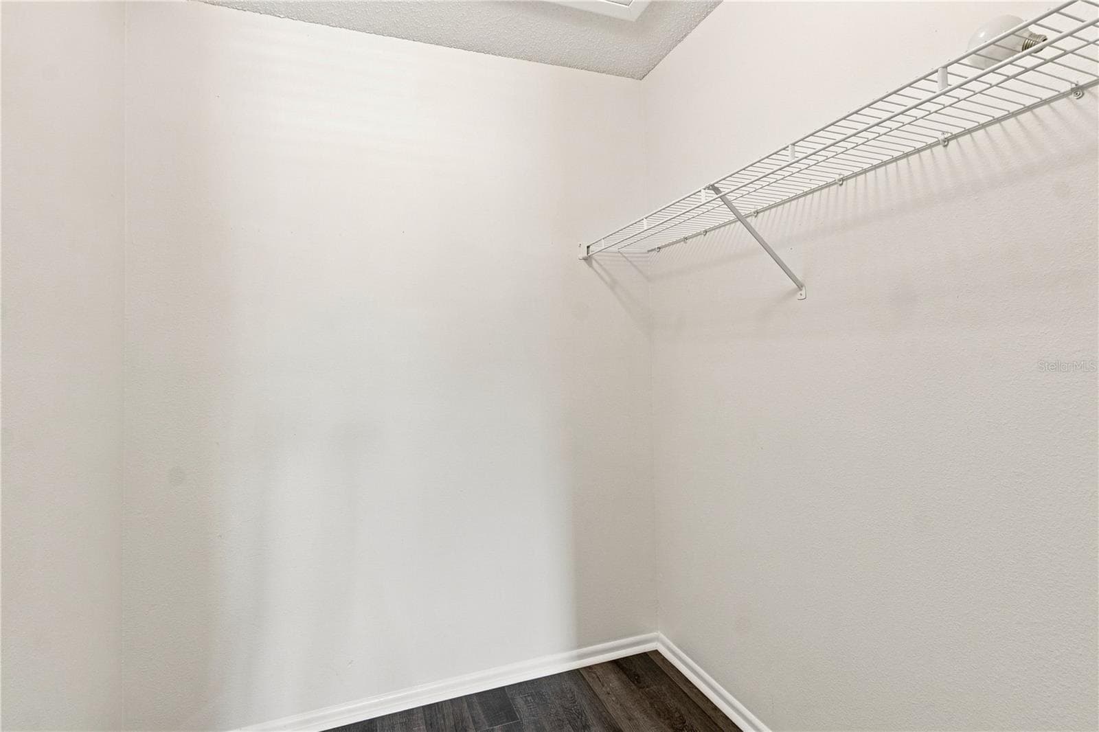 Bedroom 3 Walk in closet - 13417 BEECHBERRY DR, RIVERVIEW