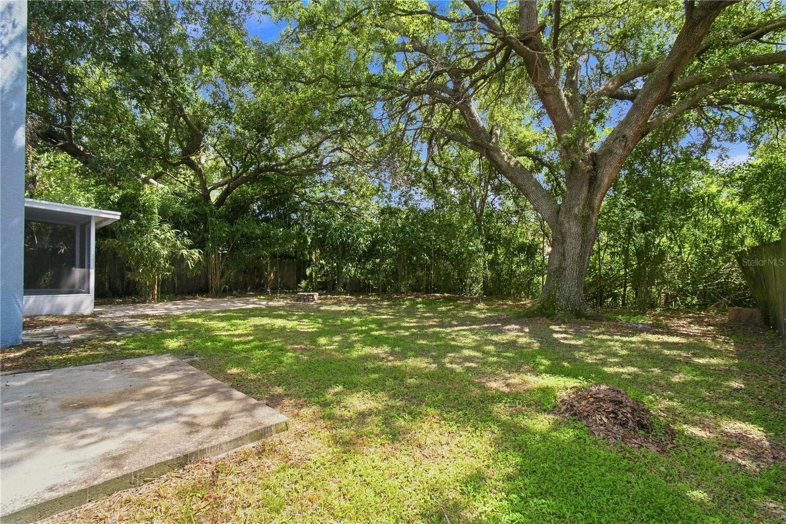 Spacious Backyard - 13417 BEECHBERRY DR, RIVERVIEW