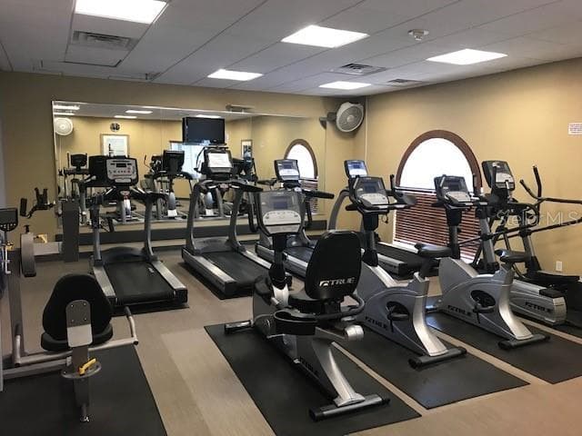 Cardio Room - 13417 BEECHBERRY DR, RIVERVIEW