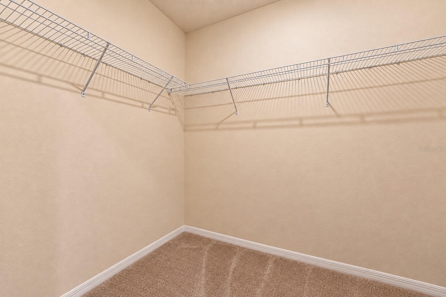 Single Family Residence at 12455 SHINING WILLOW ST, RIVERVIEW, photo 64 of 64