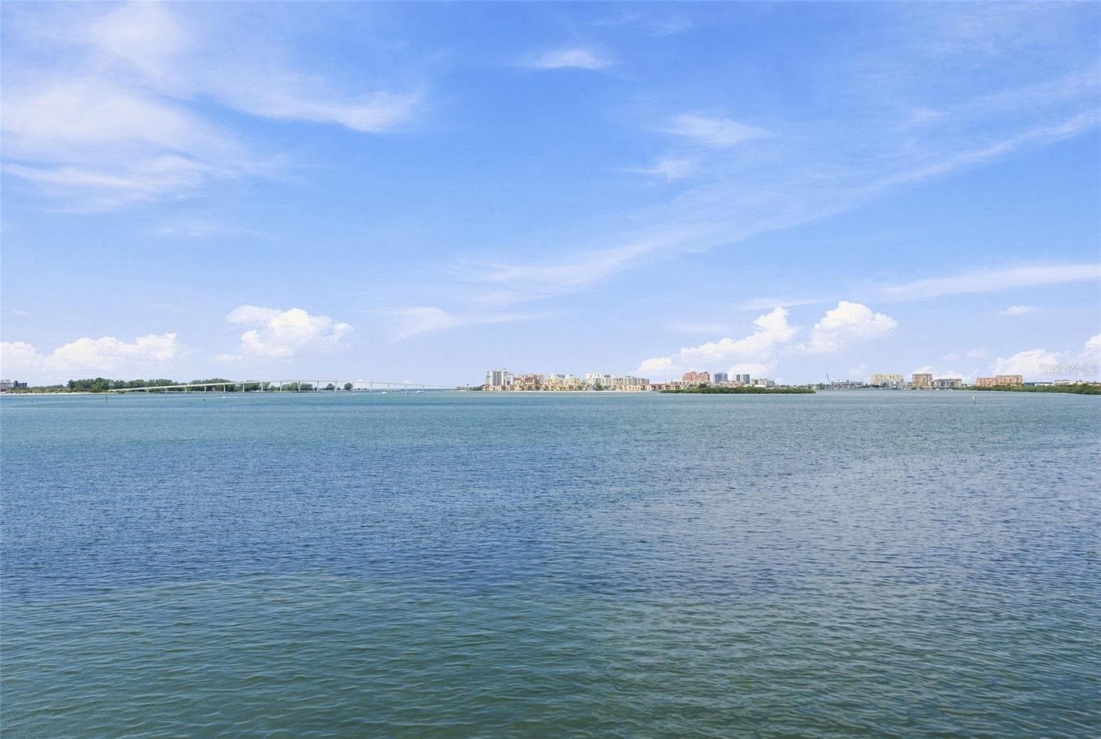 LOOK AT THAT VIEW! - 55 ROGERS ST #204, CLEARWATER