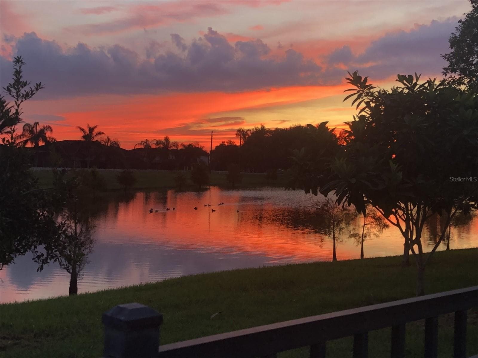 Sunset View From the Backyard! - 5314 CHISWICK CIR, BELLE ISLE