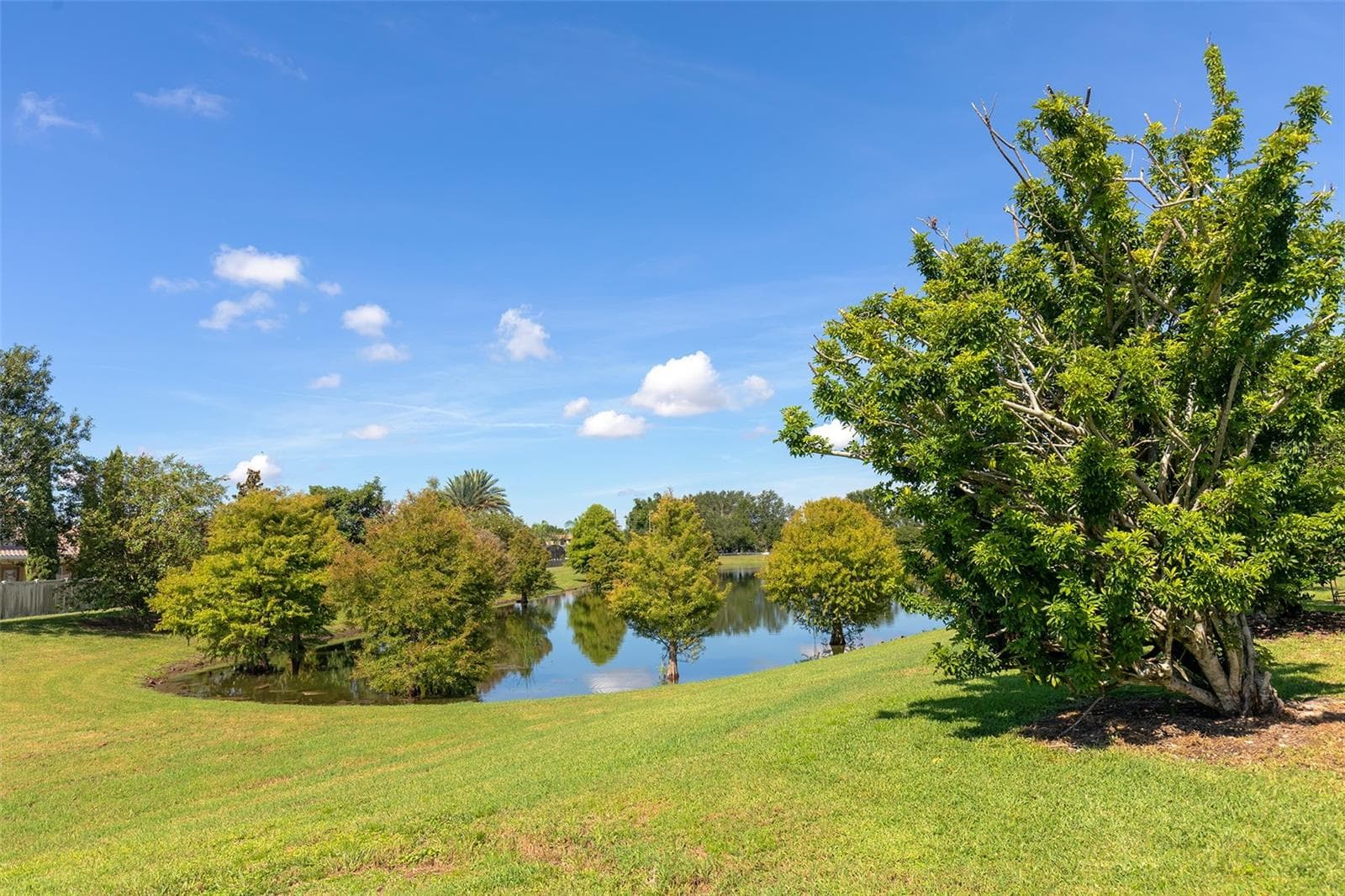 Backyard with Pond View - 5314 CHISWICK CIR, BELLE ISLE