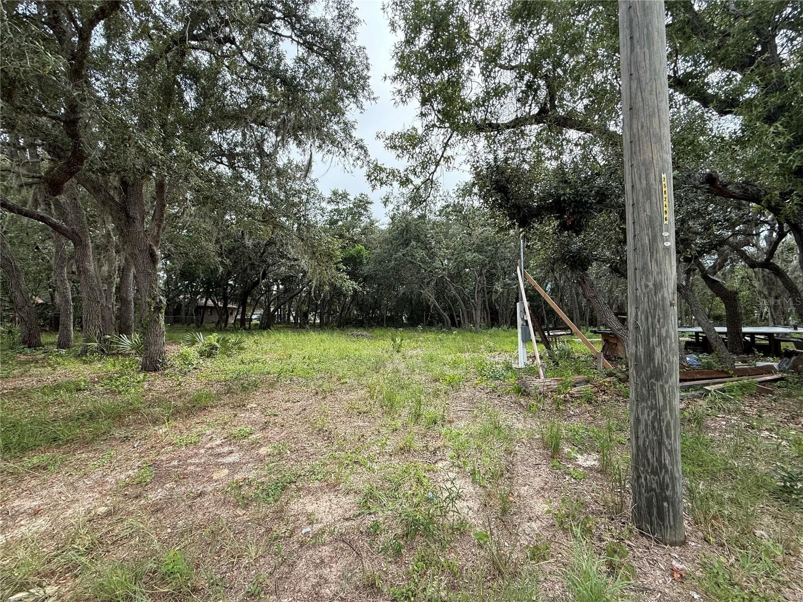 Land at 2425 N CHARLINE RD, AVON PARK, photo 2 of 3