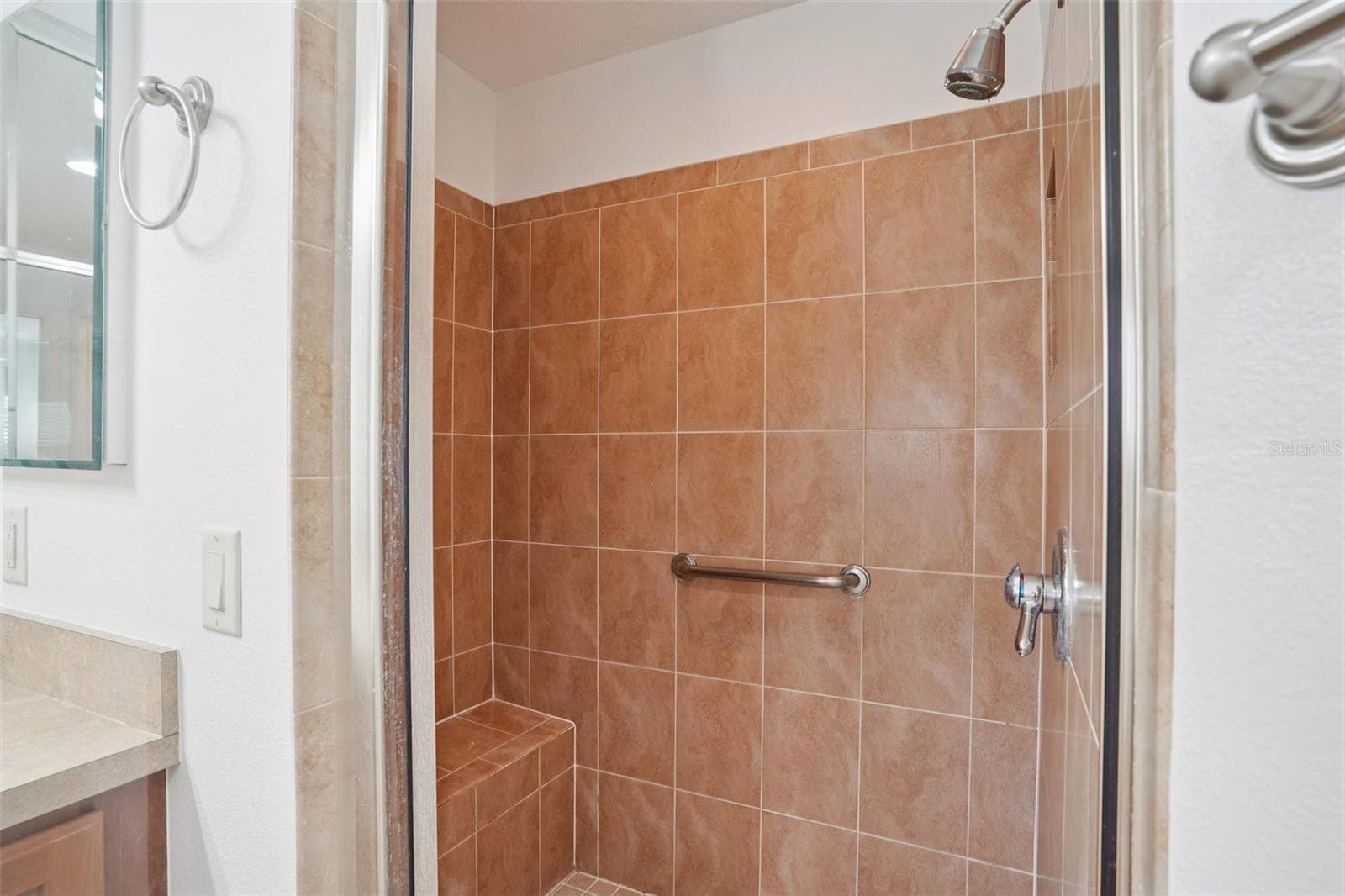 Master Bath Shower - 1722 BUGLE TER, THE VILLAGES