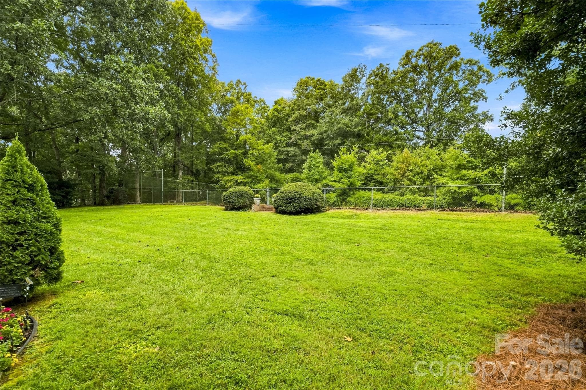 Open lawn surrounded by mature trees and greenery. - 209 Labans Lane, Lincolnton