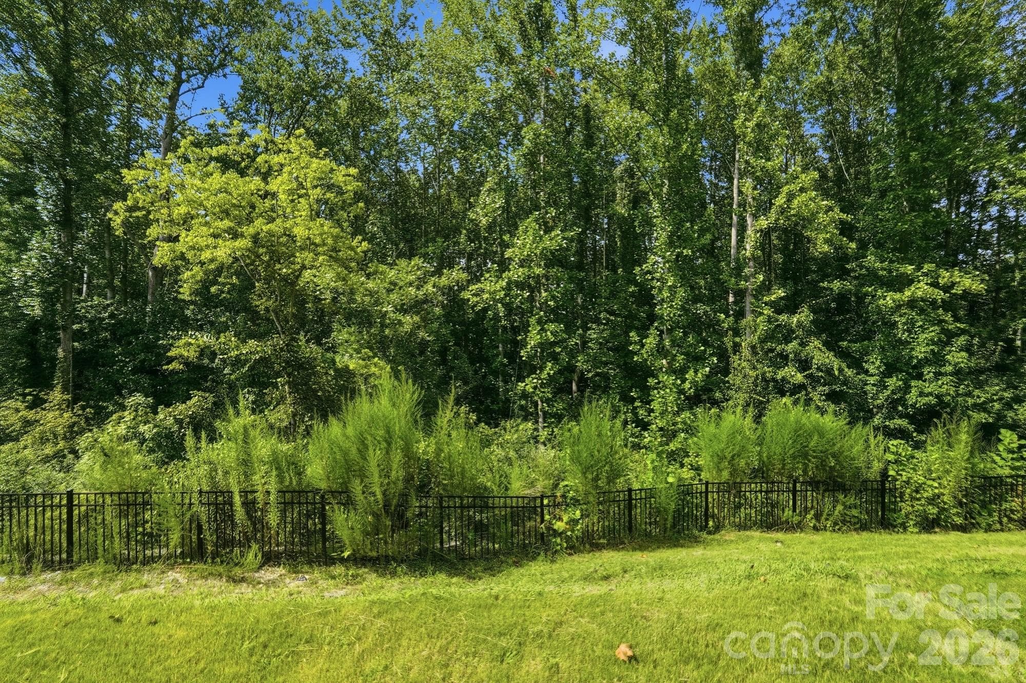 Back yard area - 5965 Granbury Drive, Kannapolis