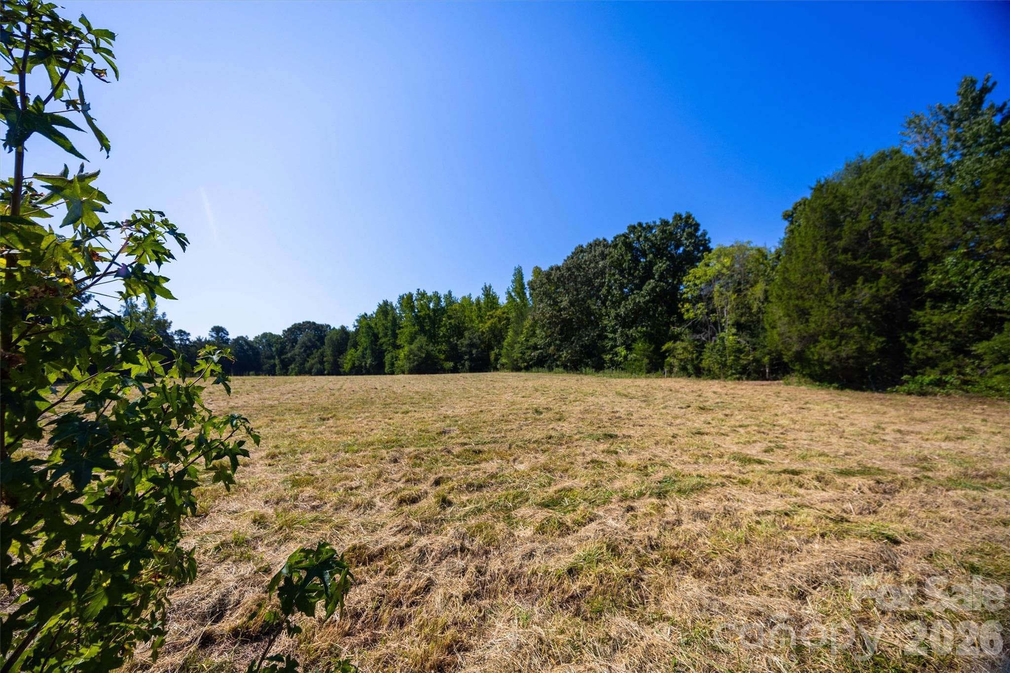 Open area #1, leave it pasture or make it a home site! - 00 Old Bradshaw Road, Salisbury