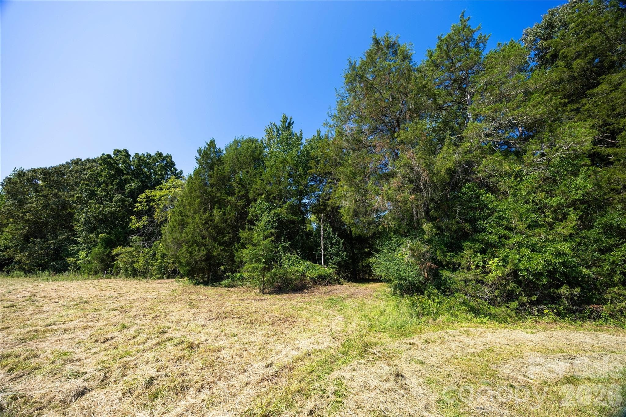 Back of open pasture #1 with trail leading into wooded area - 00 Old Bradshaw Road, Salisbury