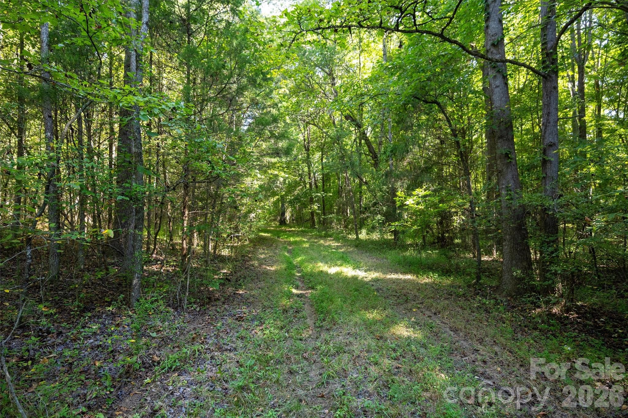 Head into the wooded area for more options and beauty! - 00 Old Bradshaw Road, Salisbury