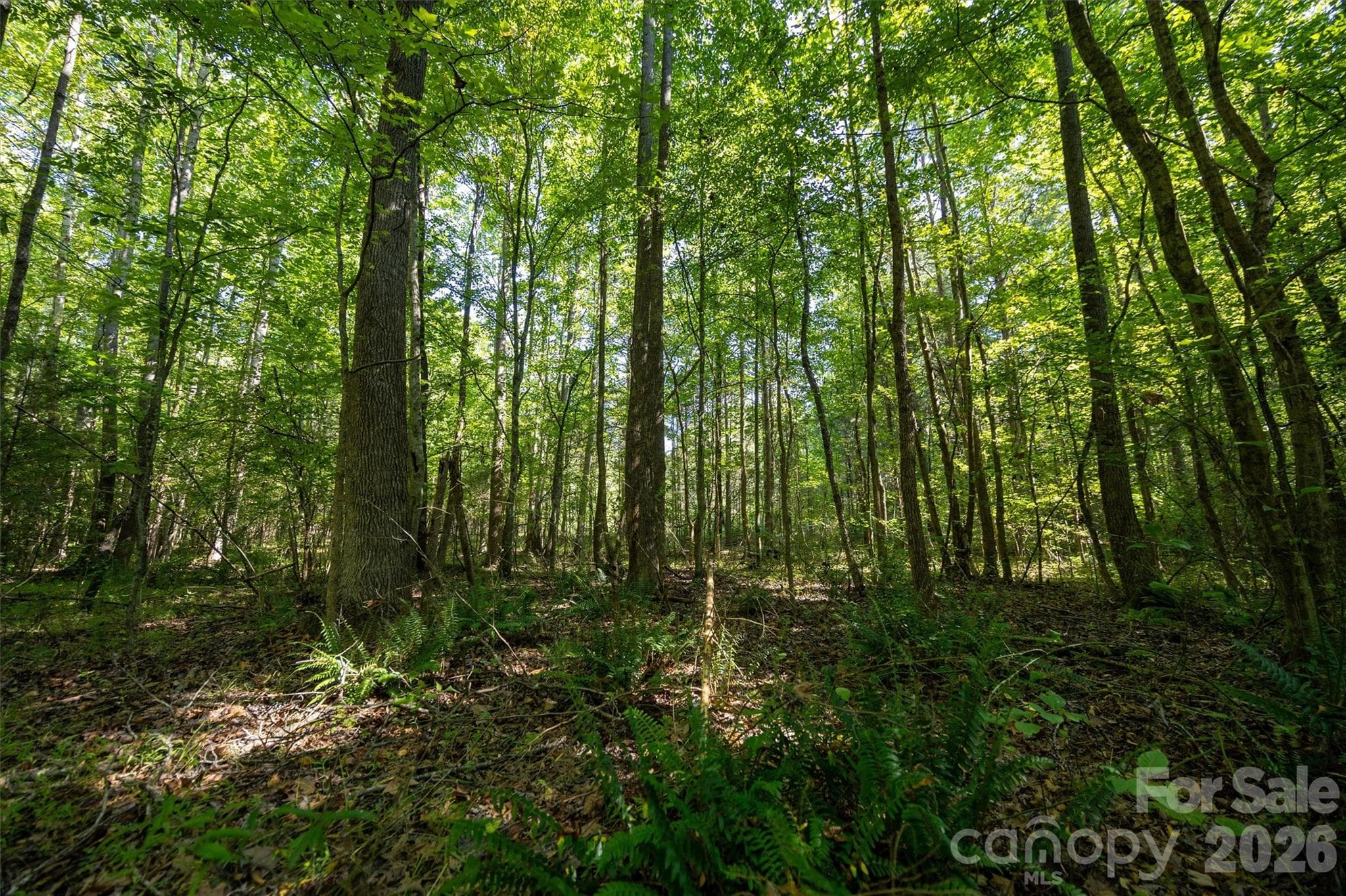 Acreage at 00 Old Bradshaw Road, Salisbury, photo 12 of 22