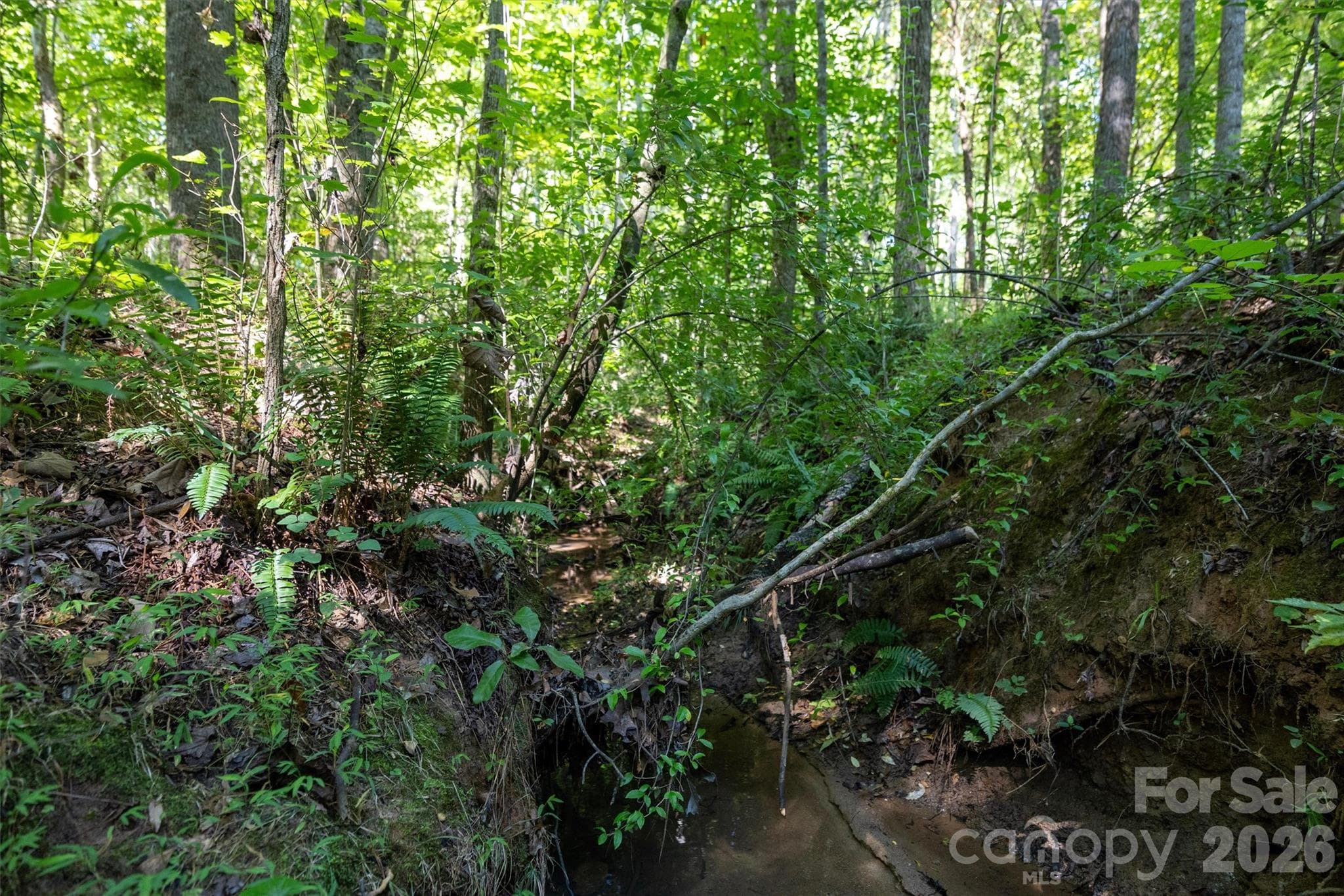Beautiful creek on property! - 00 Old Bradshaw Road, Salisbury