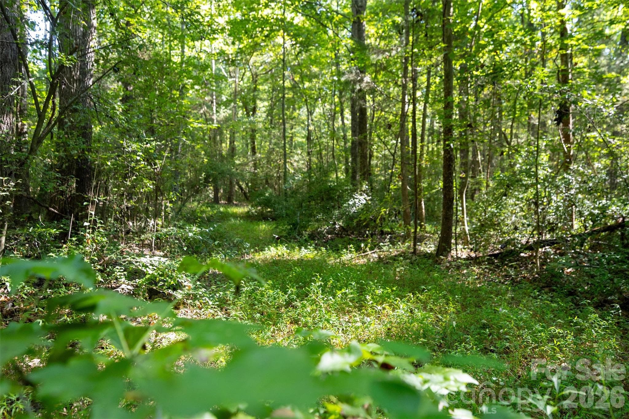 Acreage at 00 Old Bradshaw Road, Salisbury, photo 15 of 22