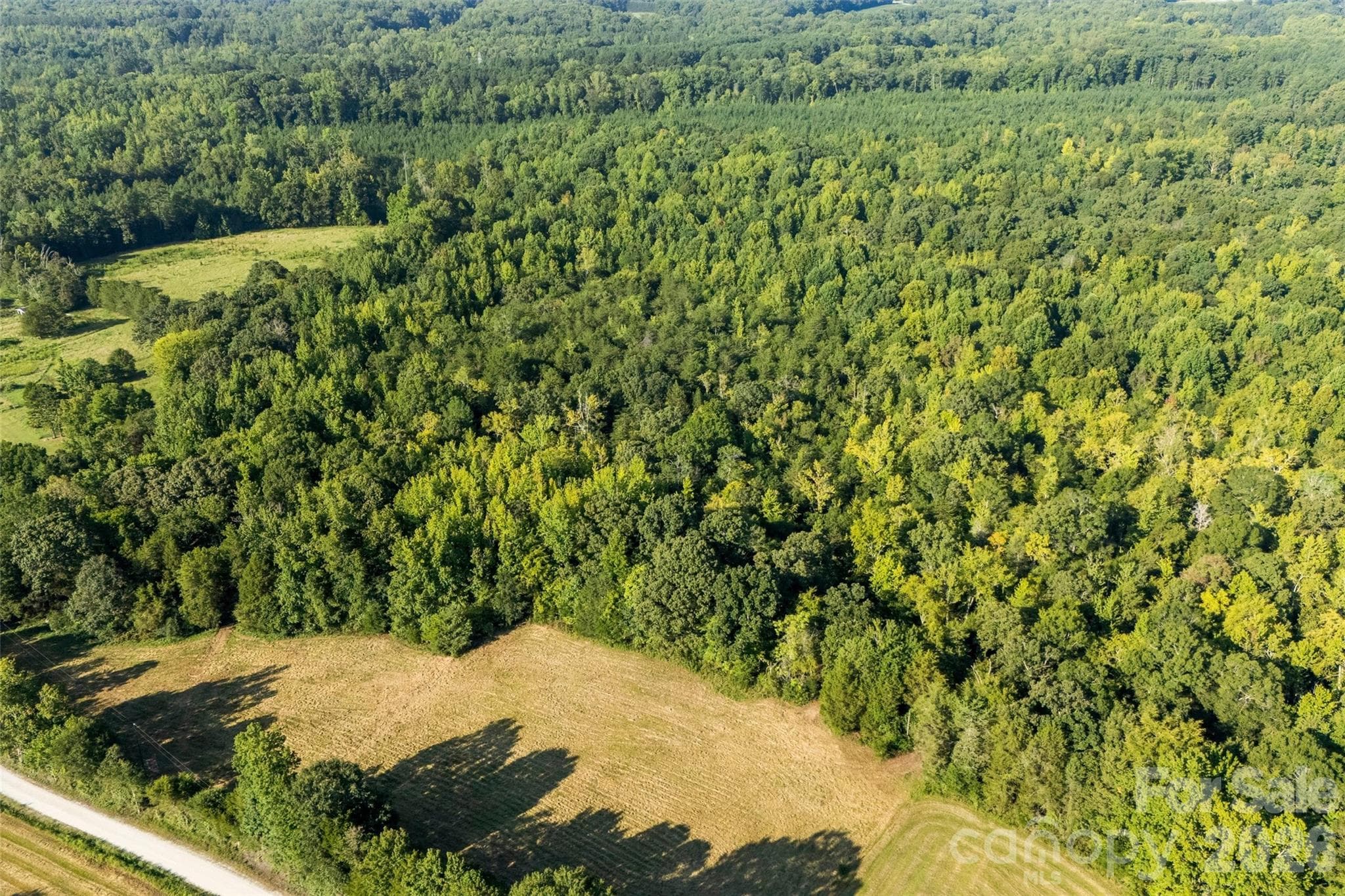 Plenty of privacy! - 00 Old Bradshaw Road, Salisbury