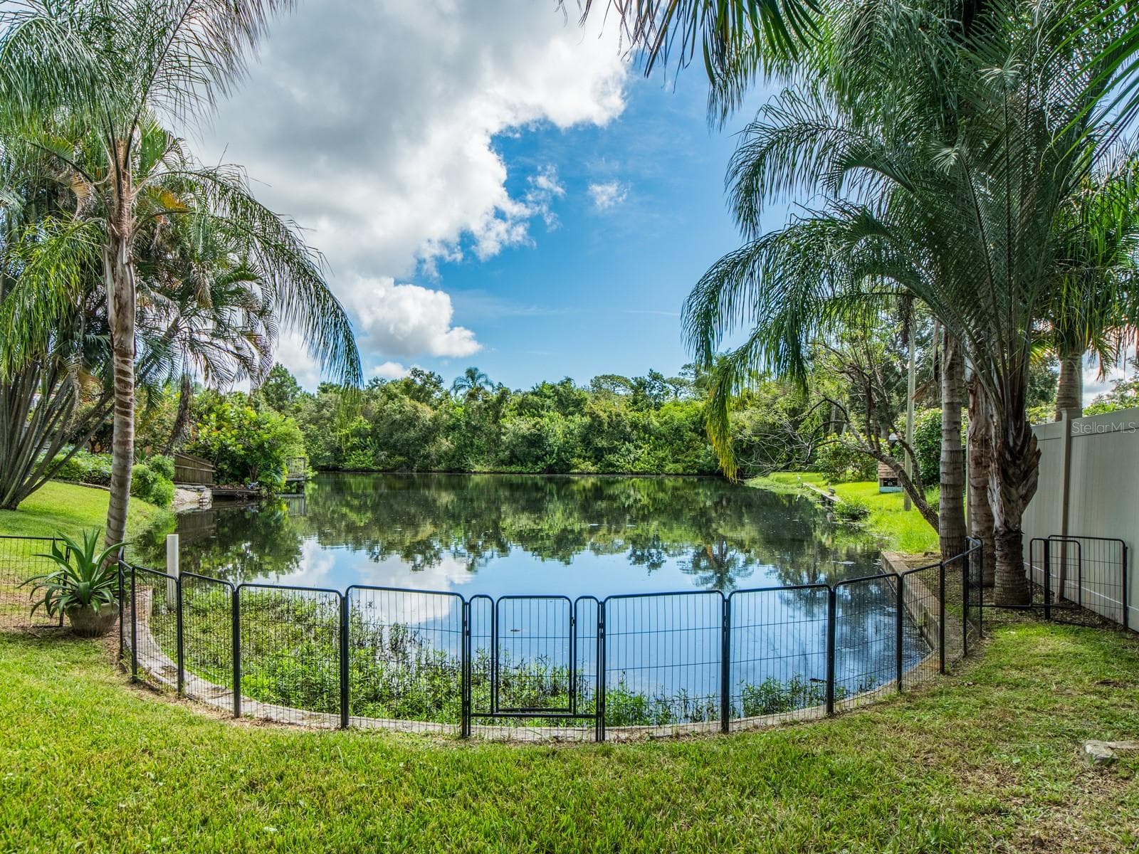 Single Family Residence at 1679 WOODRIDGE DR, CLEARWATER, photo 2 of 36